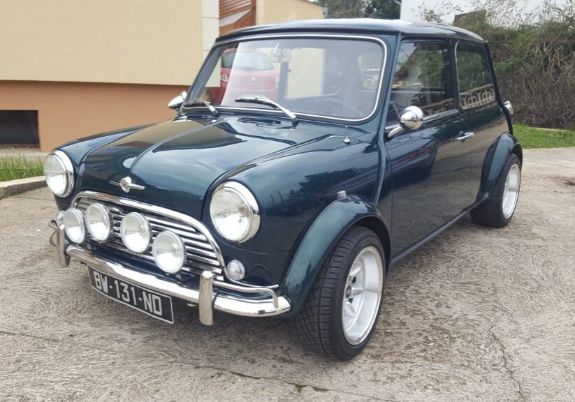 11-mini-fini-min
